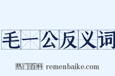 毛一公反义词是什么意思的图片
